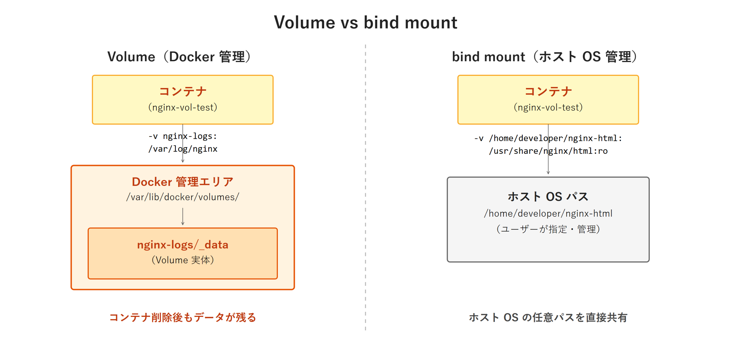 Volume と bind mount のアーキテクチャ対比図 - 左列の Volume は Docker 管理エリア /var/lib/docker/volumes/ 配下に nginx-logs/_data として格納されコンテナ削除後もデータが残る。右列の bind mount はホスト OS の任意パス /home/developer/nginx-html を直接コンテナにマウントする。